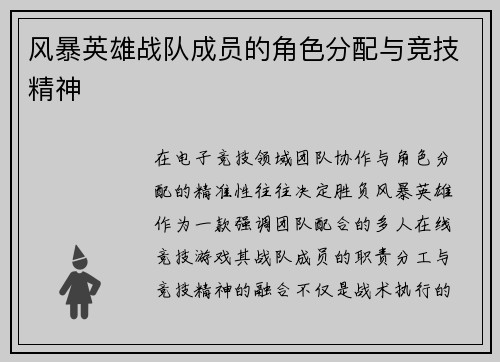 风暴英雄战队成员的角色分配与竞技精神
